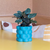 Planters