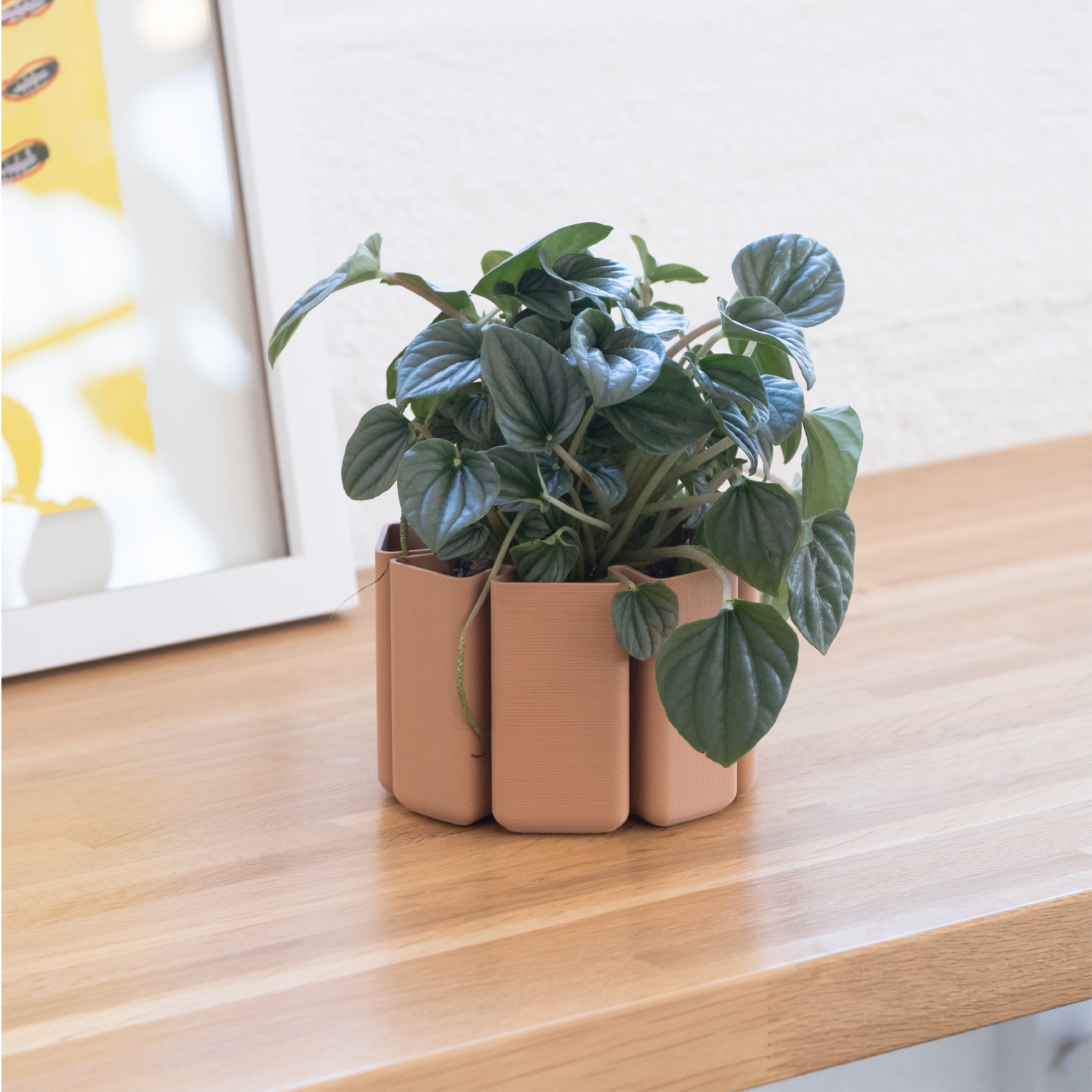 Geo Mini Planter