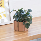 Geo Mini Planter