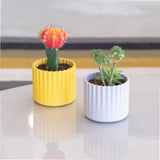 Muffin Planter